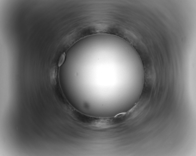 X0000098110082200804111104