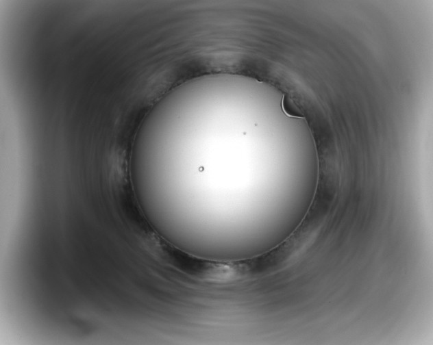 X0000098110083200804111104