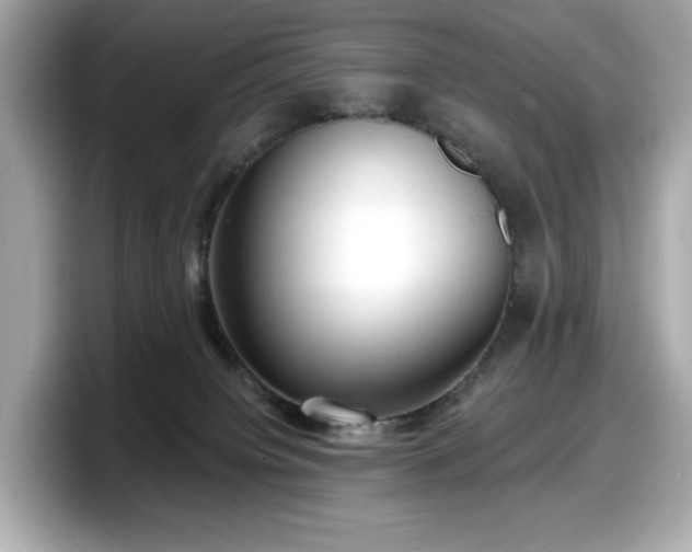 X0000098110084200804111104