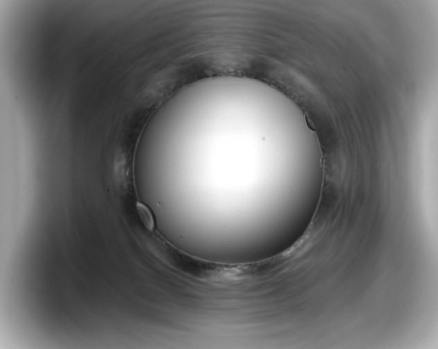X0000098110086200804111104