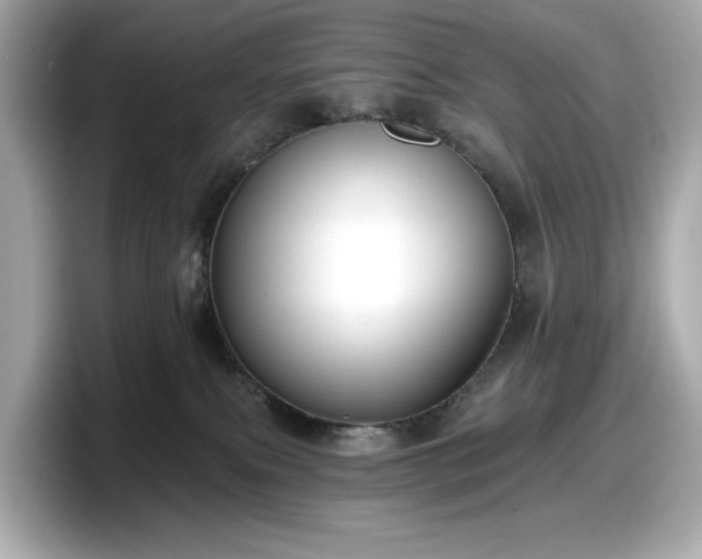 X0000098110087200804111104