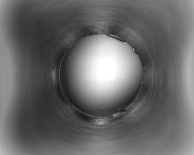 X0000098110088200804111104