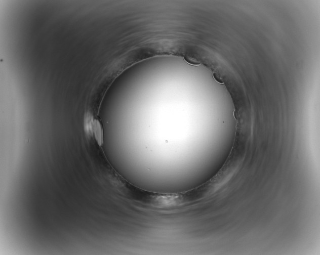 X0000098110089200804111104