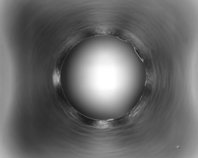 X0000098110095200804111104