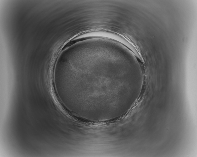 X0000098110097200804111103