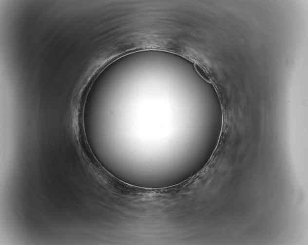 X0000098110098200804111103