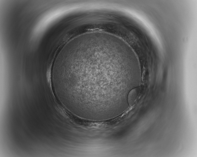 X0000098110099200804111103