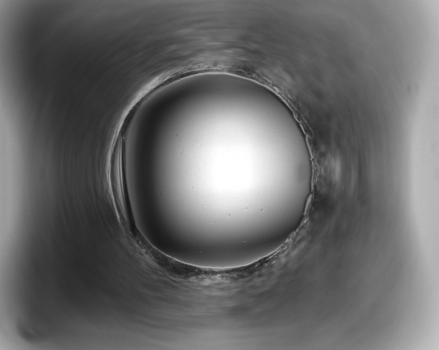 X0000098110100200804111103