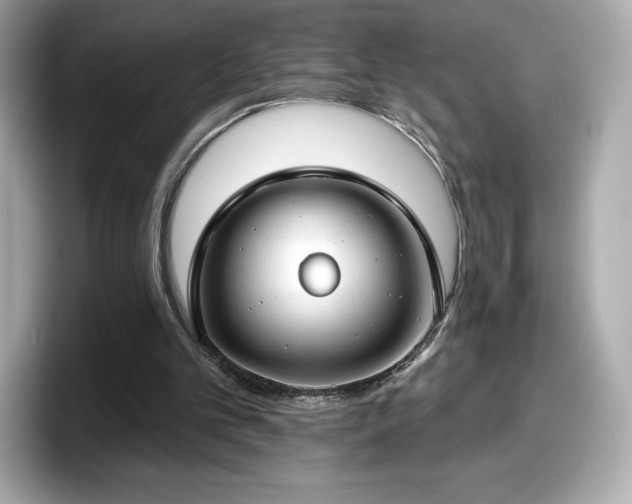 X0000098110101200804111103