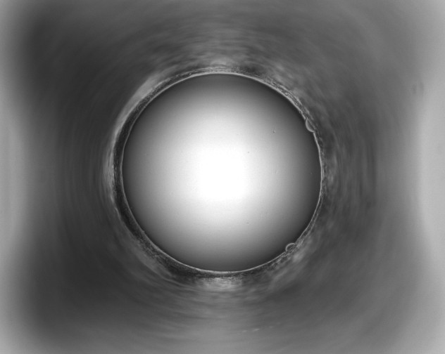 X0000098110102200804111103