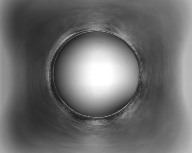 X0000098110103200804111103