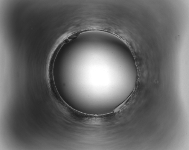 X0000098110104200804111103