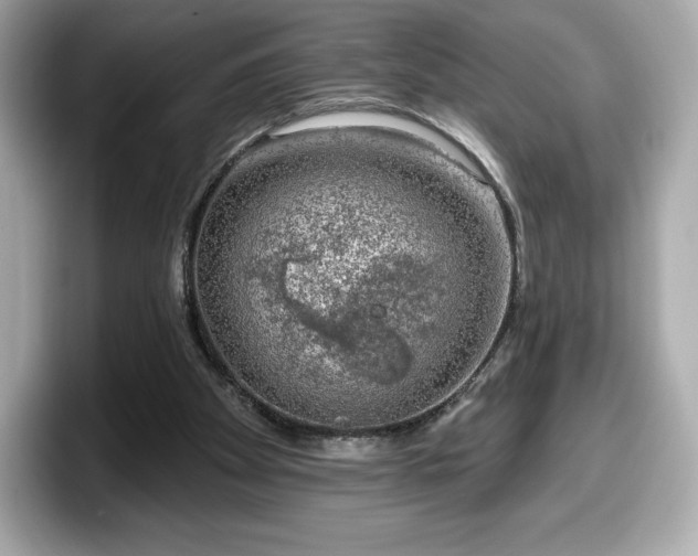 X0000098110105200804111103