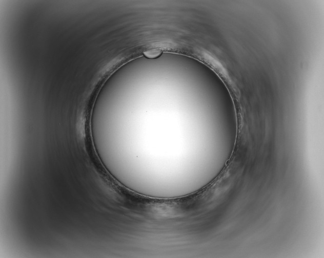 X0000098110106200804111103