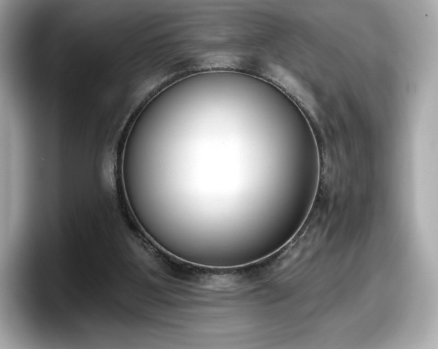 X0000098110107200804111103