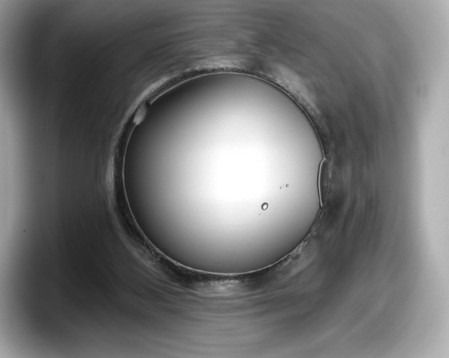 X0000098110108200804111103