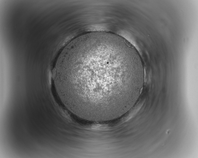 X0000098110109200804111103