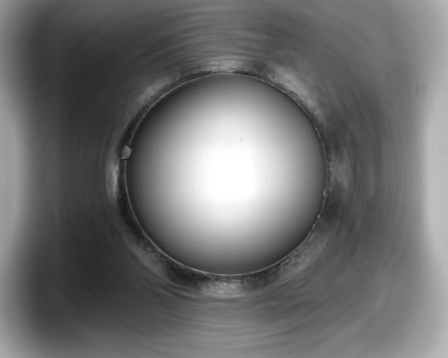 X0000098110110200804111103