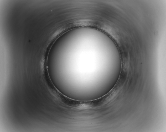 X0000098110111200804111103