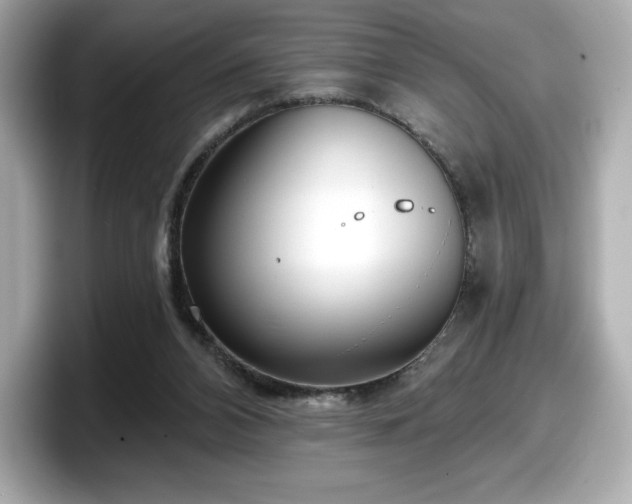 X0000098110112200804111103