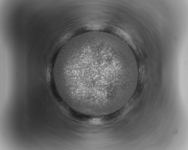 X0000098110114200804111103