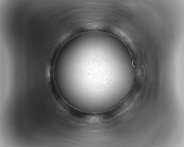 X0000098110115200804111103