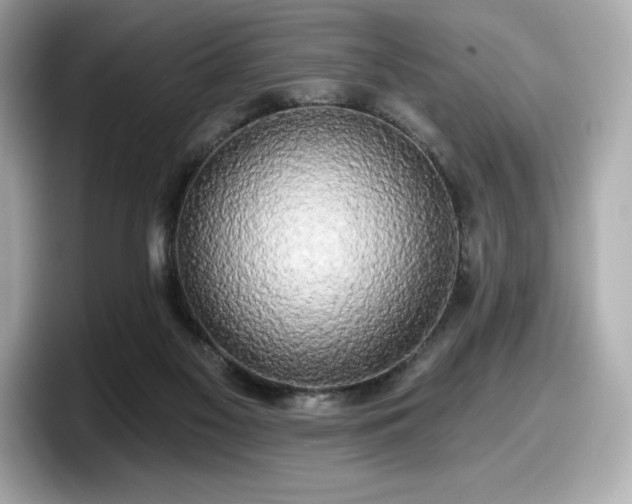 X0000098110117200804111103