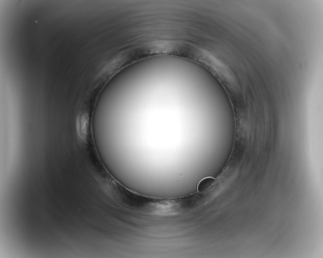 X0000098110118200804111103
