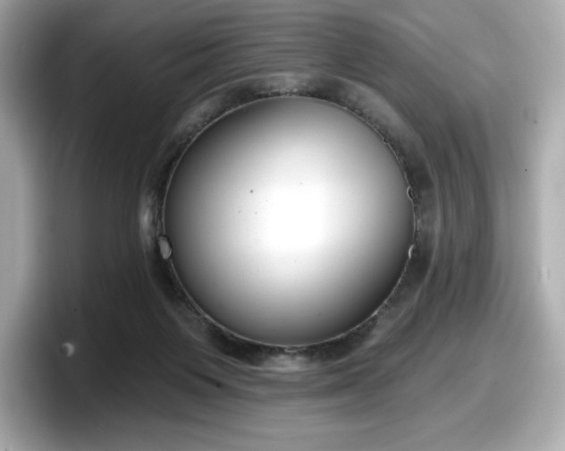 X0000098110119200804111103