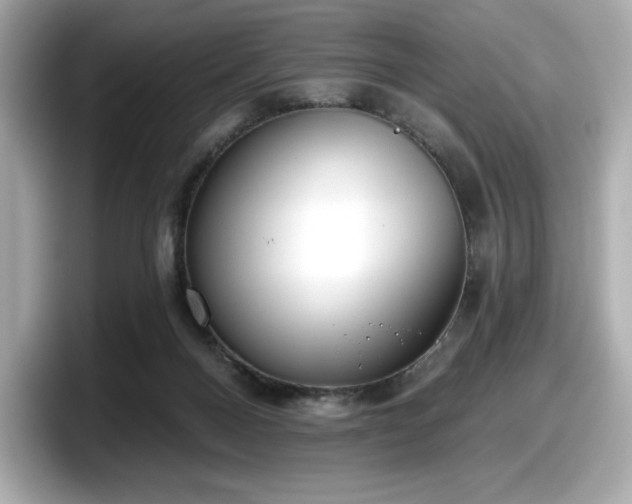 X0000098110120200804111103