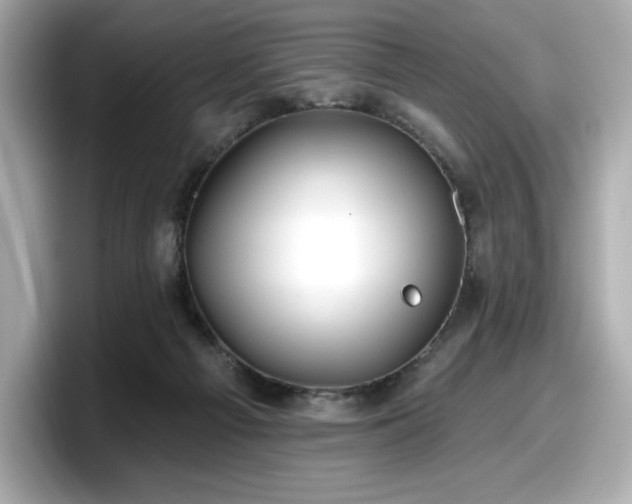 X0000098110121200804111103
