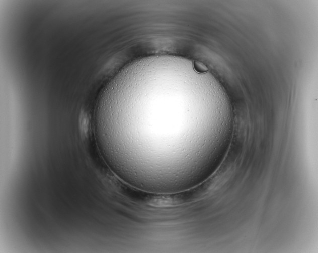 X0000098110123200804111103
