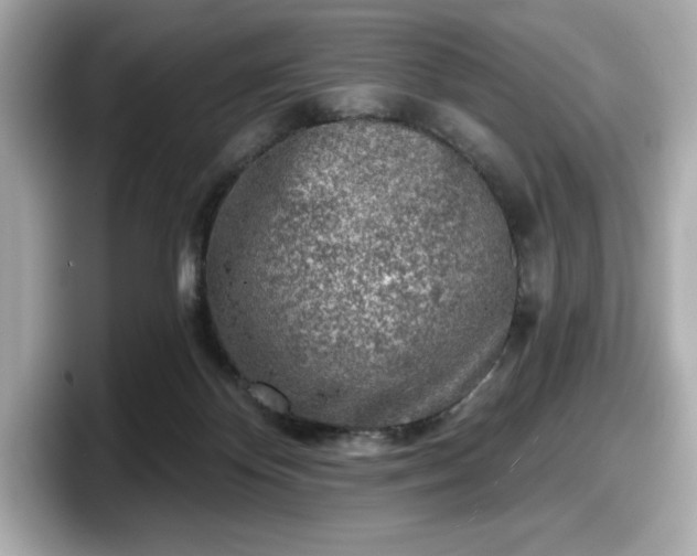 X0000098110124200804111103
