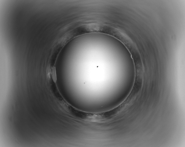 X0000098110125200804111103