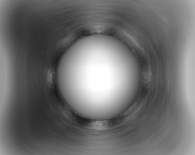 X0000098110126200804111103