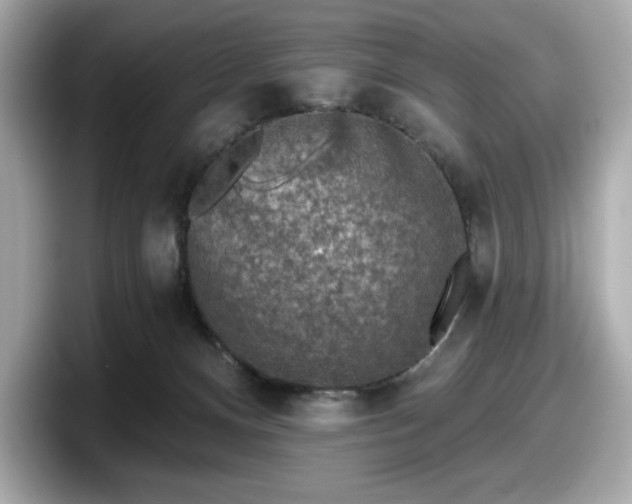 X0000098110128200804111103