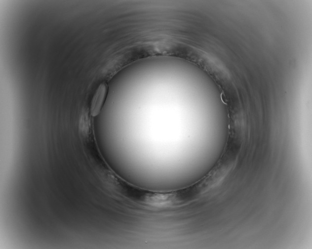 X0000098110129200804111103