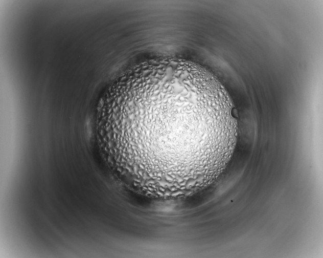 X0000098110131200804111103