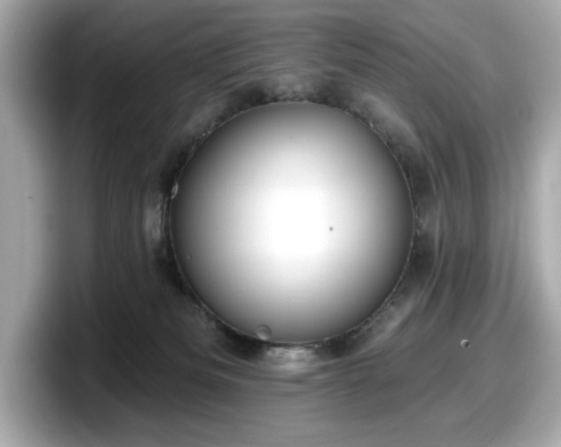 X0000098110133200804111103