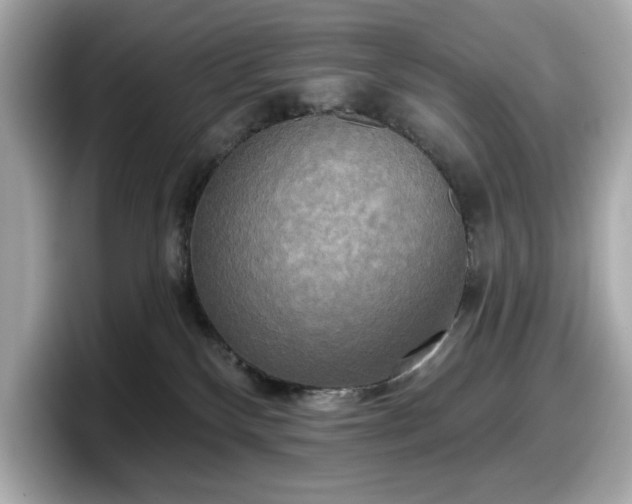 X0000098110136200804111103