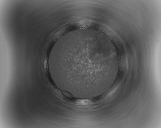 X0000098110137200804111103