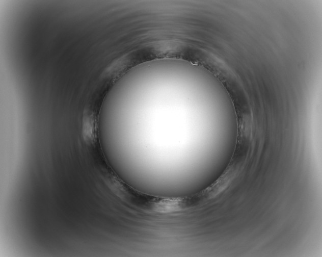 X0000098110138200804111103