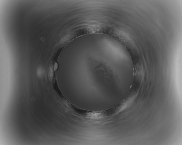 X0000098110139200804111103