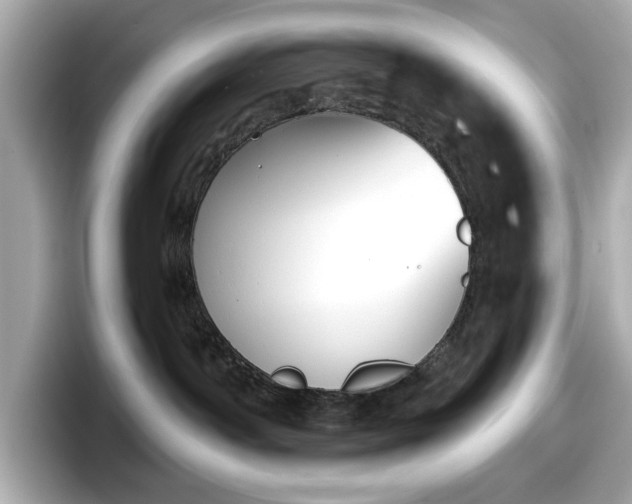 X0000098110142200804111102