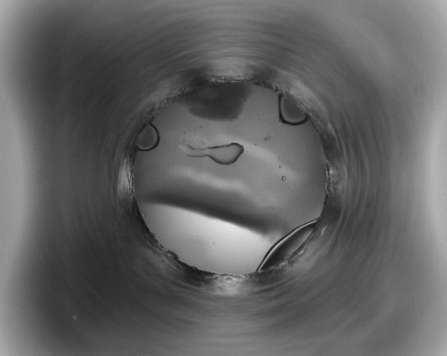 X0000098110143200804111102