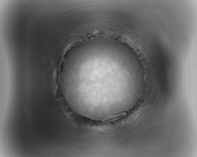 X0000098110144200804111102
