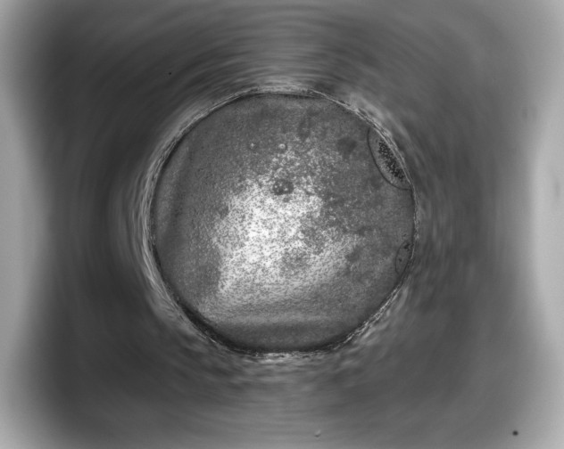 X0000098110145200804111102