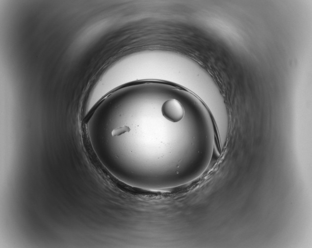 X0000098110146200804111102