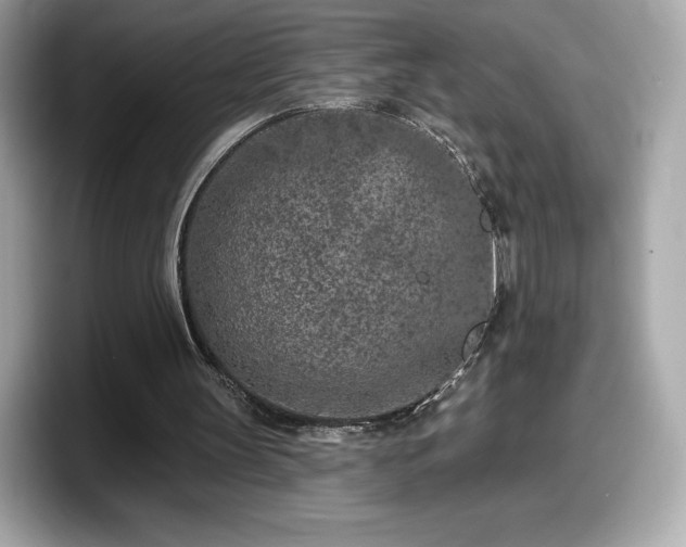 X0000098110147200804111102