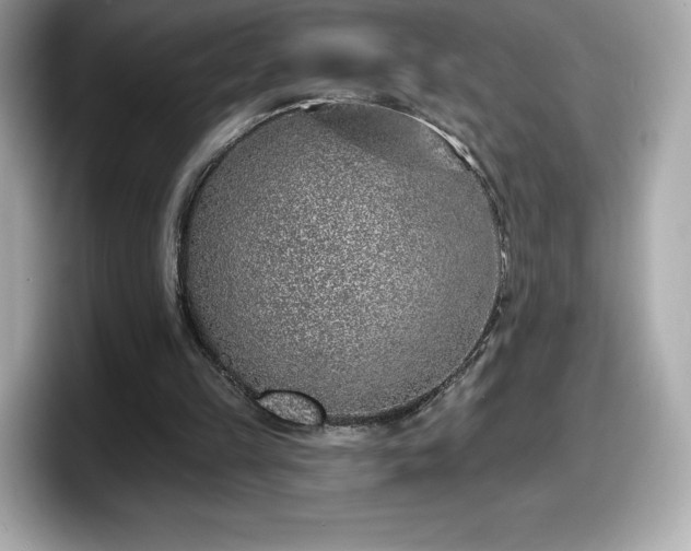 X0000098110149200804111102